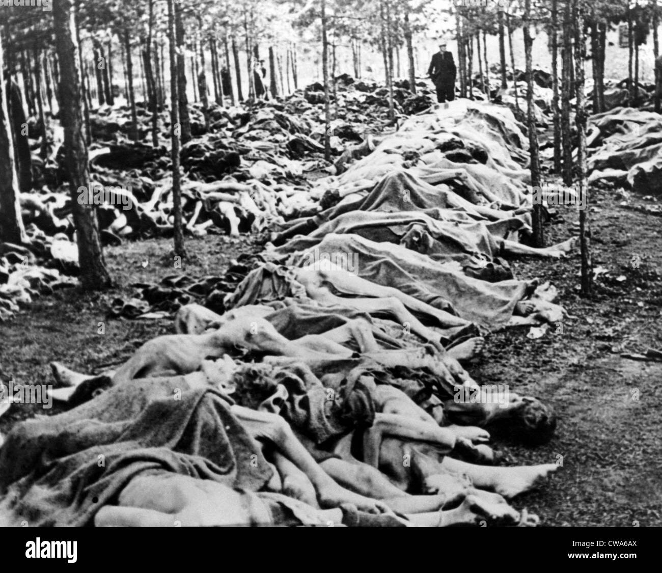Toten Gefangenen außerhalb KZ Bergen-Belsen 1945 aufgetürmt. Höflichkeit: CSU Archive/Everett Collection Stockfoto