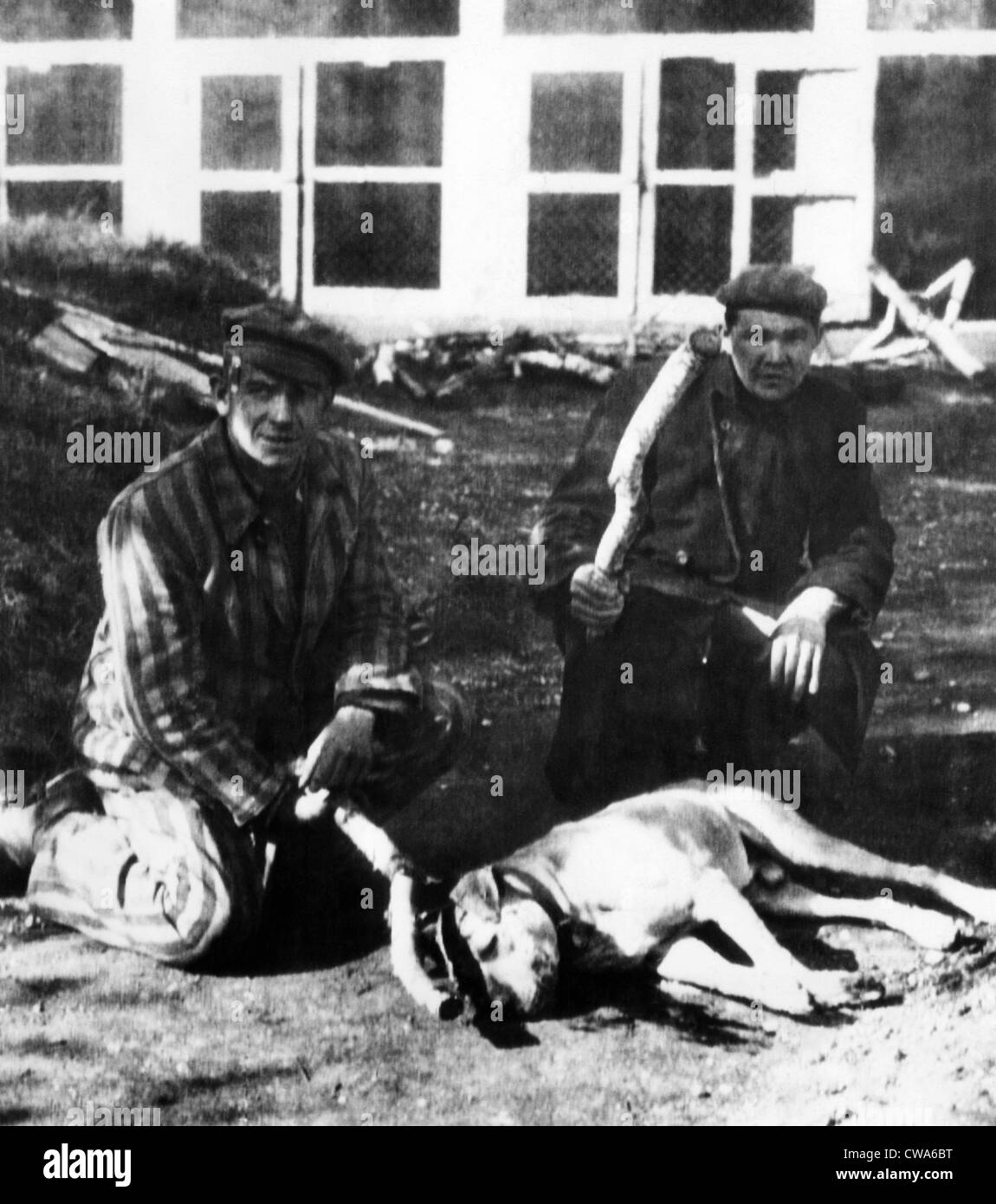 Ehemalige Häftlinge des KZ Dachau Knien durch den Hund, die, den Sie getötet, mit Clubs. Gefangenen lebten in Angst gefüttert Stockfoto