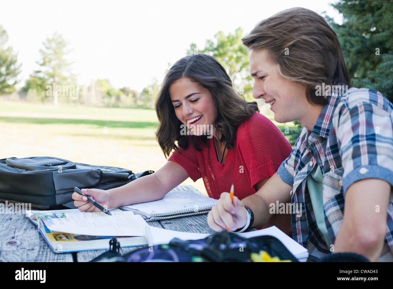 Teenager-paar Studium an Picknick-Tisch im park Stockfoto