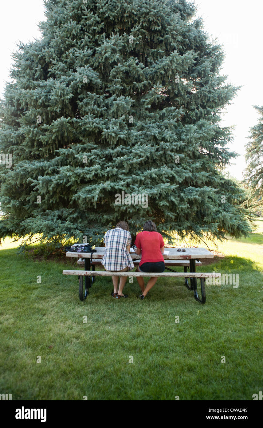Teenager-paar studieren auf Picknick-Tisch im Park, Rückansicht Stockfoto