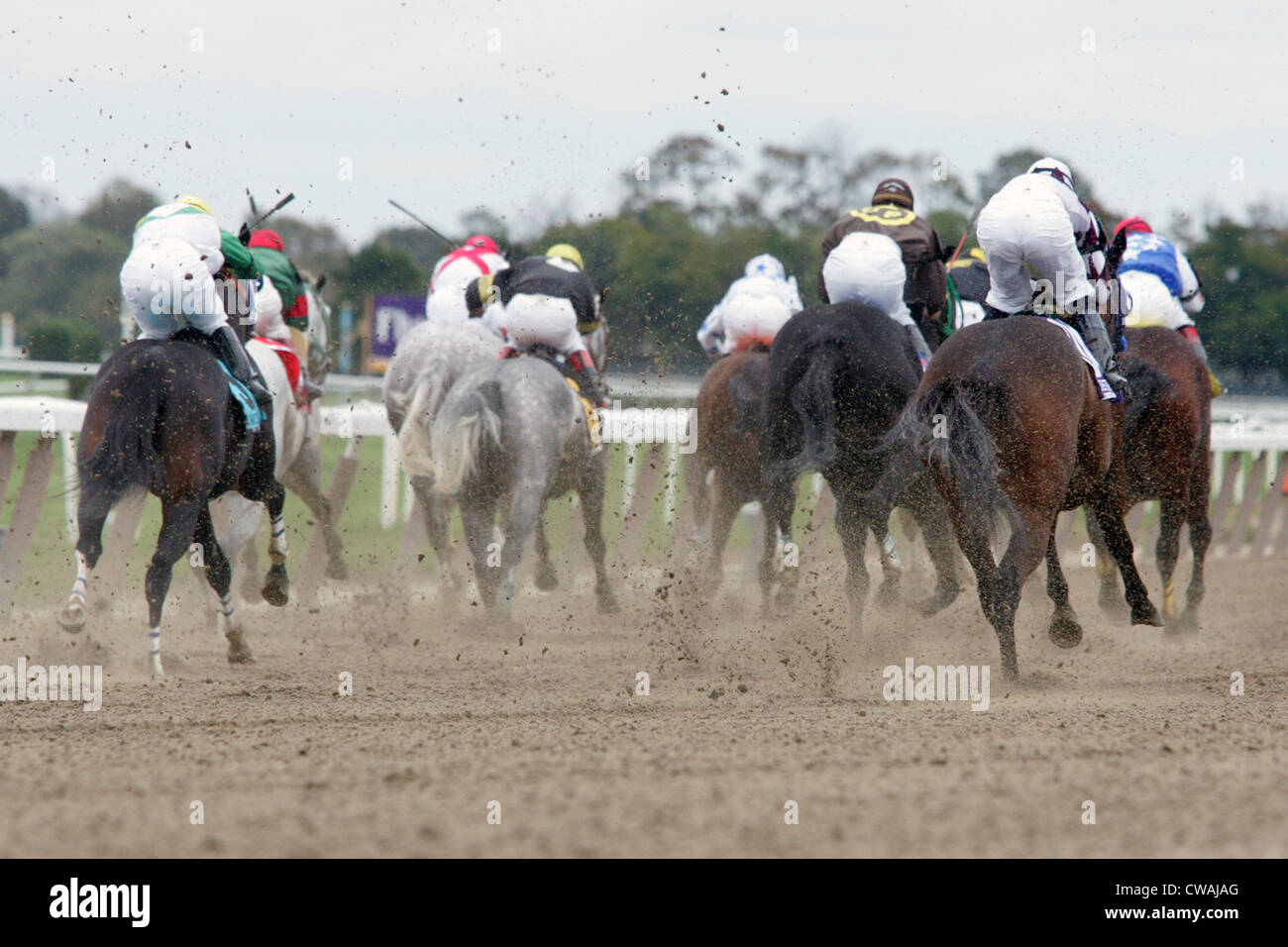 New York, Pferde und Reiter in das Rennen auf dem Feldweg Stockfoto