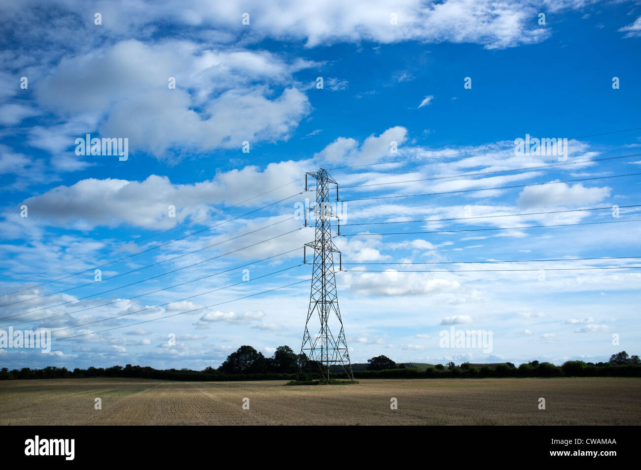 Strommast im Feld Stockfoto