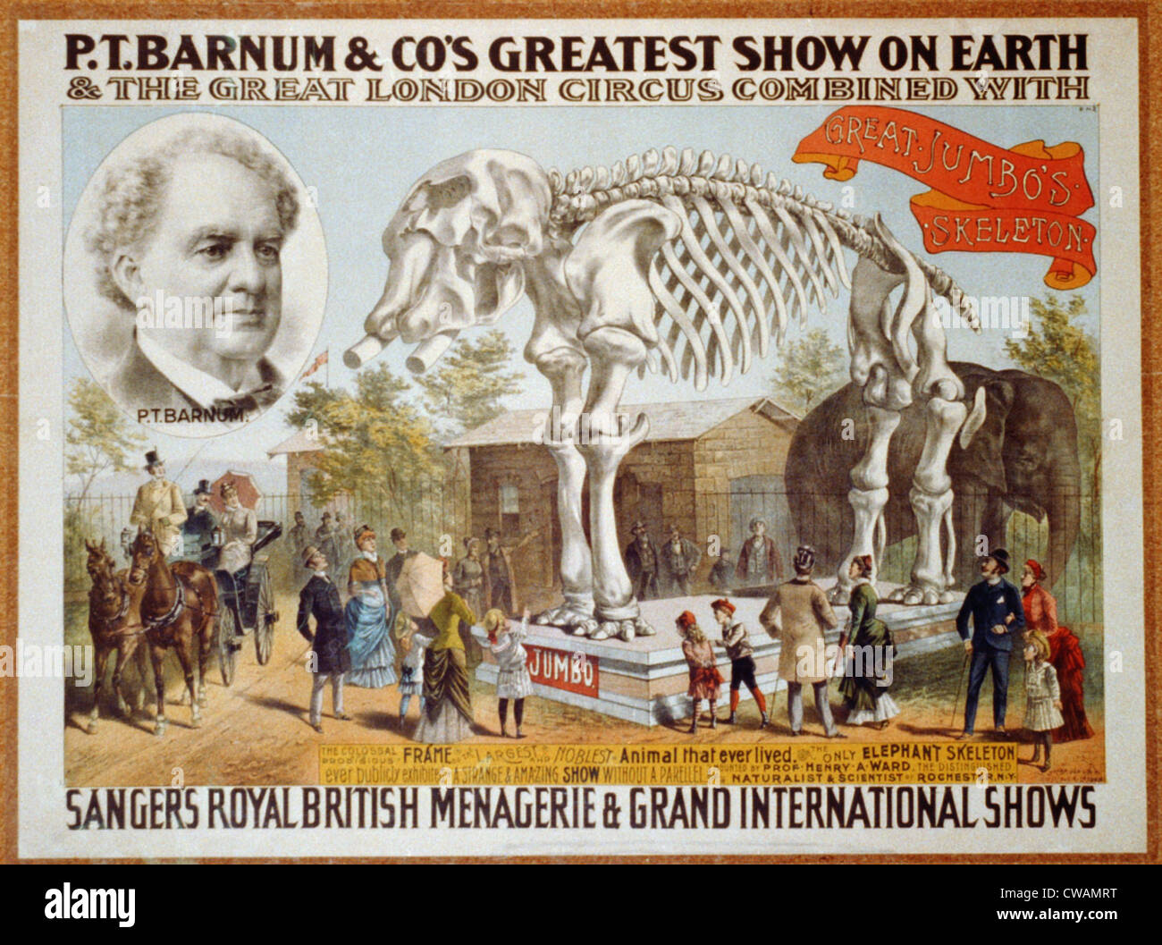 Plakat für P.T. Barnum & Zirkus mit das Skelett des Jumbo Elefant, vier Jahre zuvor verstorbenen Ausführung durch eine Stockfoto