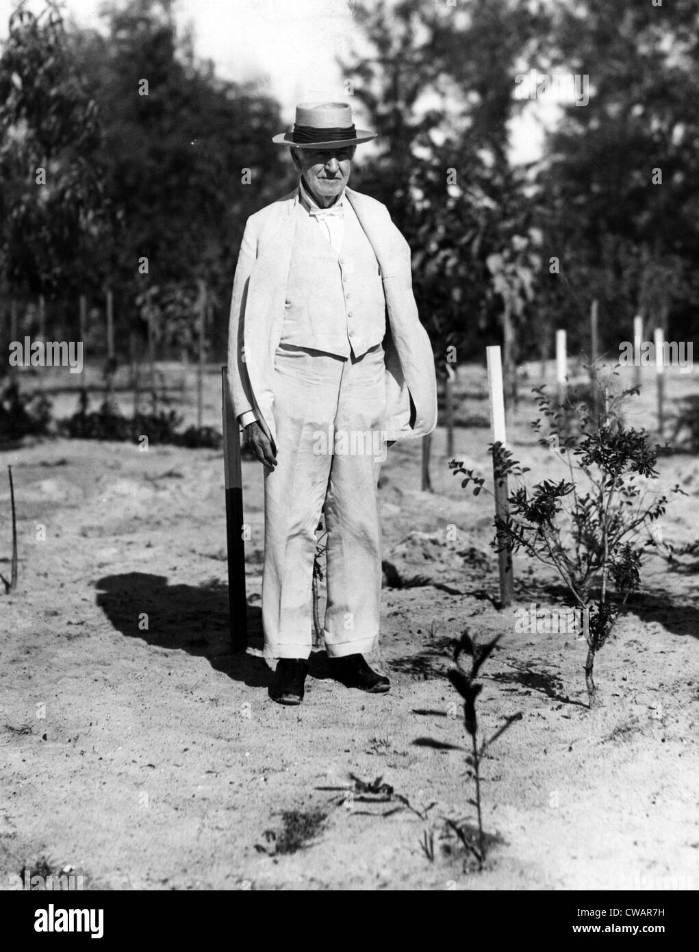 Thomas Edison experimentiert mit seinem Gummibaum-Garten in seinem Winterquartier in Fort Meyers, Florida. 18.01.29. Höflichkeit CSU Stockfoto