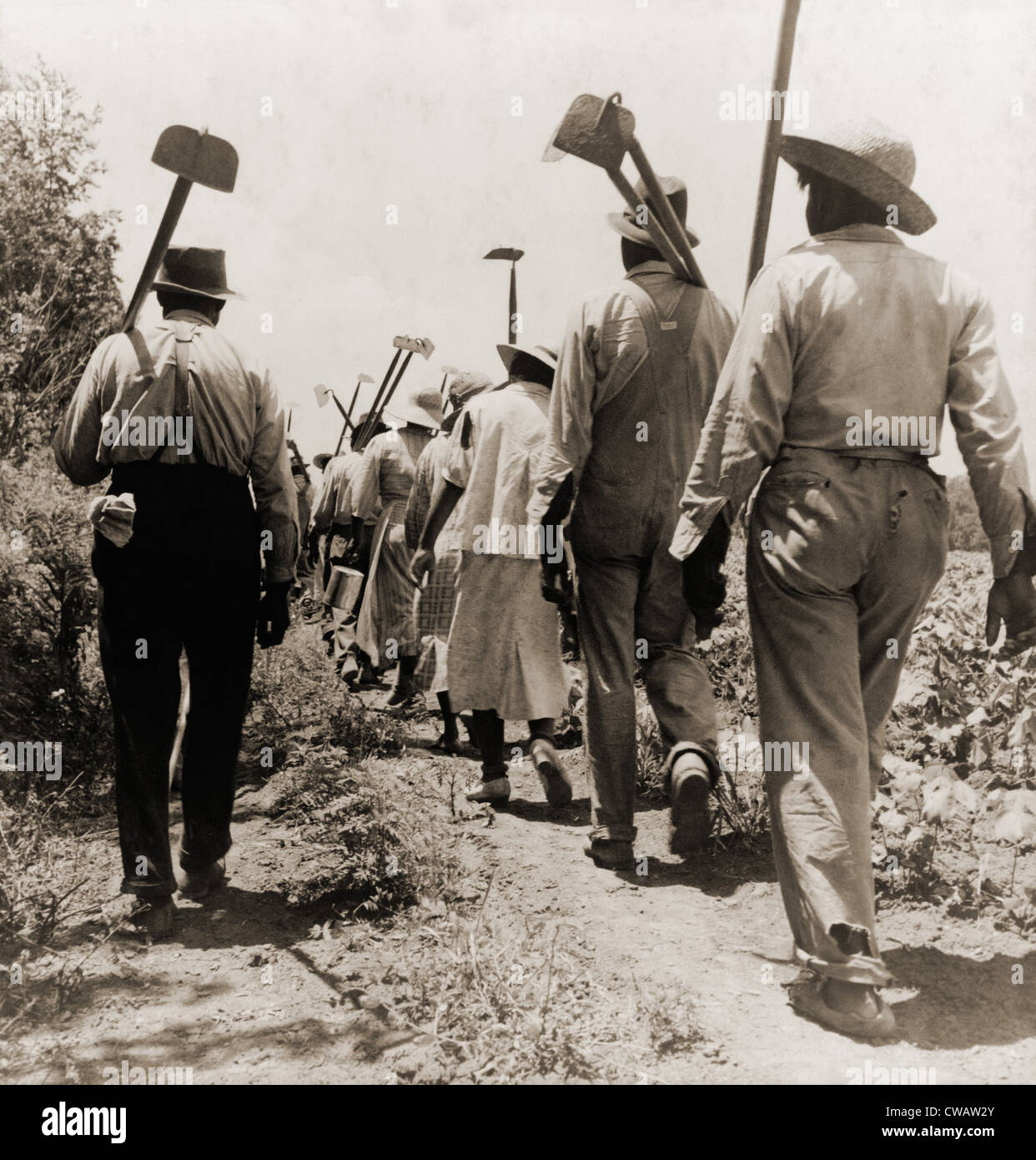 Afrikanische amerikanische Baumwolle Hoers arbeitete von 06:00 bis 19:00 für einen Dollar. Clarksdale, Mississippi, 1937.  Foto von Dorothea Stockfoto