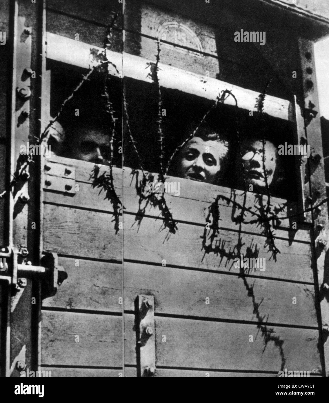Transport zum KZ Auschwitz 1944. Stockfoto