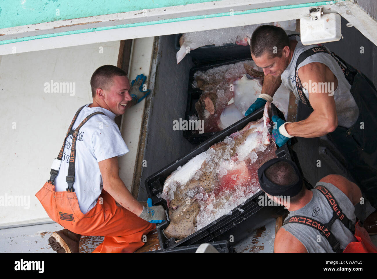 Chatham, Massachusetts - Fischer ihren Fang am Chatham Fish Pier zu entladen. Stockfoto