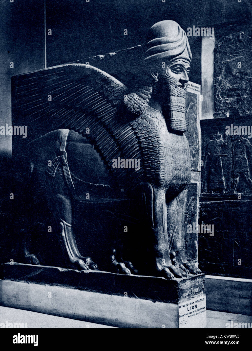 Kolossale Statue eines geflügelten Löwen (Lamassu) aus Nord-West-Palast von Ashurnasirpal II, von Nimroud, ca 883-859 v. Chr.; Foto Stockfoto