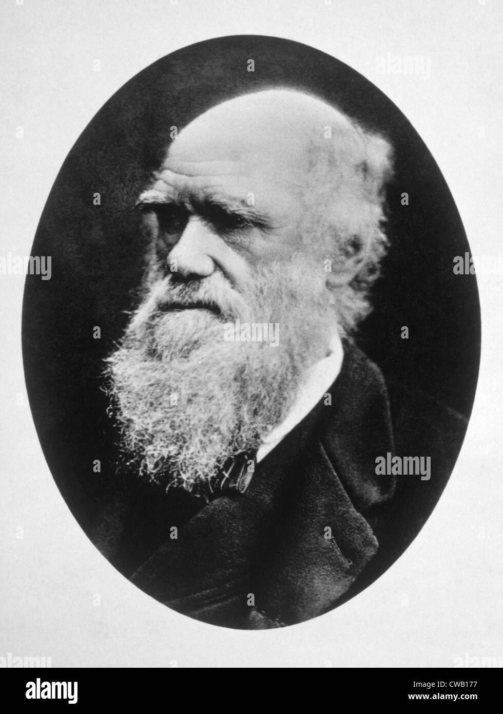 Charles Darwin (1809-1882), Foto ca. 1880 Stockfoto