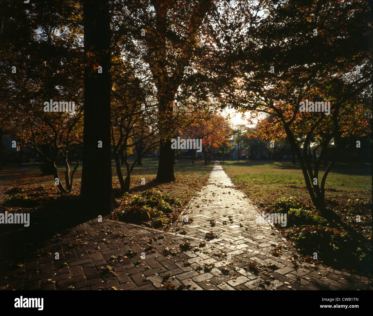 New York City, Governors Island, Blick auf Nolan Park im Herbst; 1982 Stockfoto