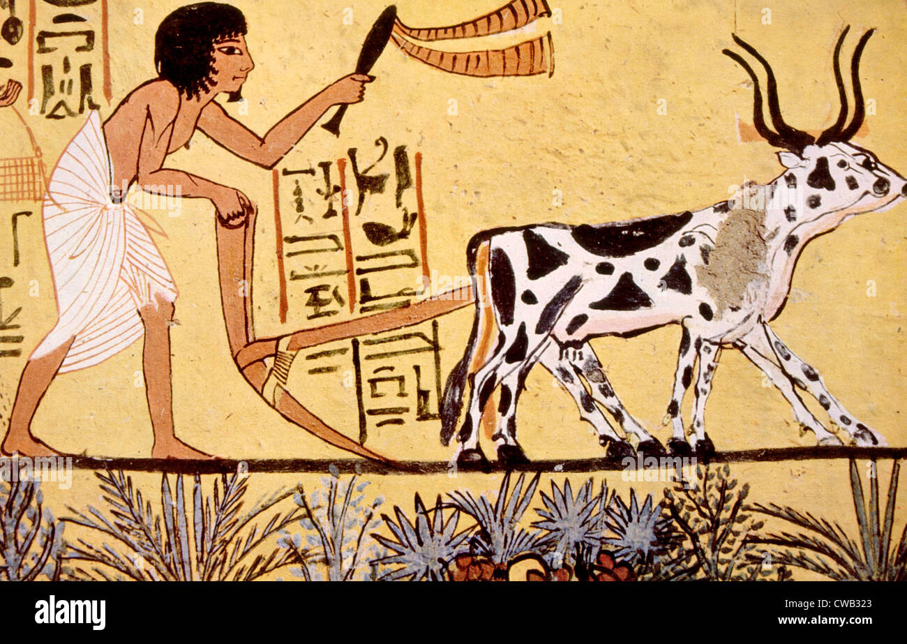 Malerei aus dem Grab des Sennedjem zeigt ihm sein Feld zu pflügen, Deir el-Medina, Ägypten Stockfoto