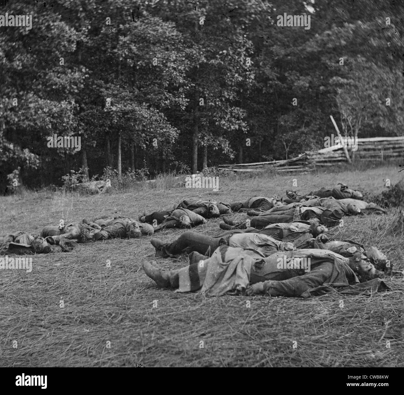 Der Bürgerkrieg. Die Schlacht von Gettysburg. Dead Confederate gesammelt für die Beerdigung am südwestlichen Rand des Waldes Rose, Juli Stockfoto