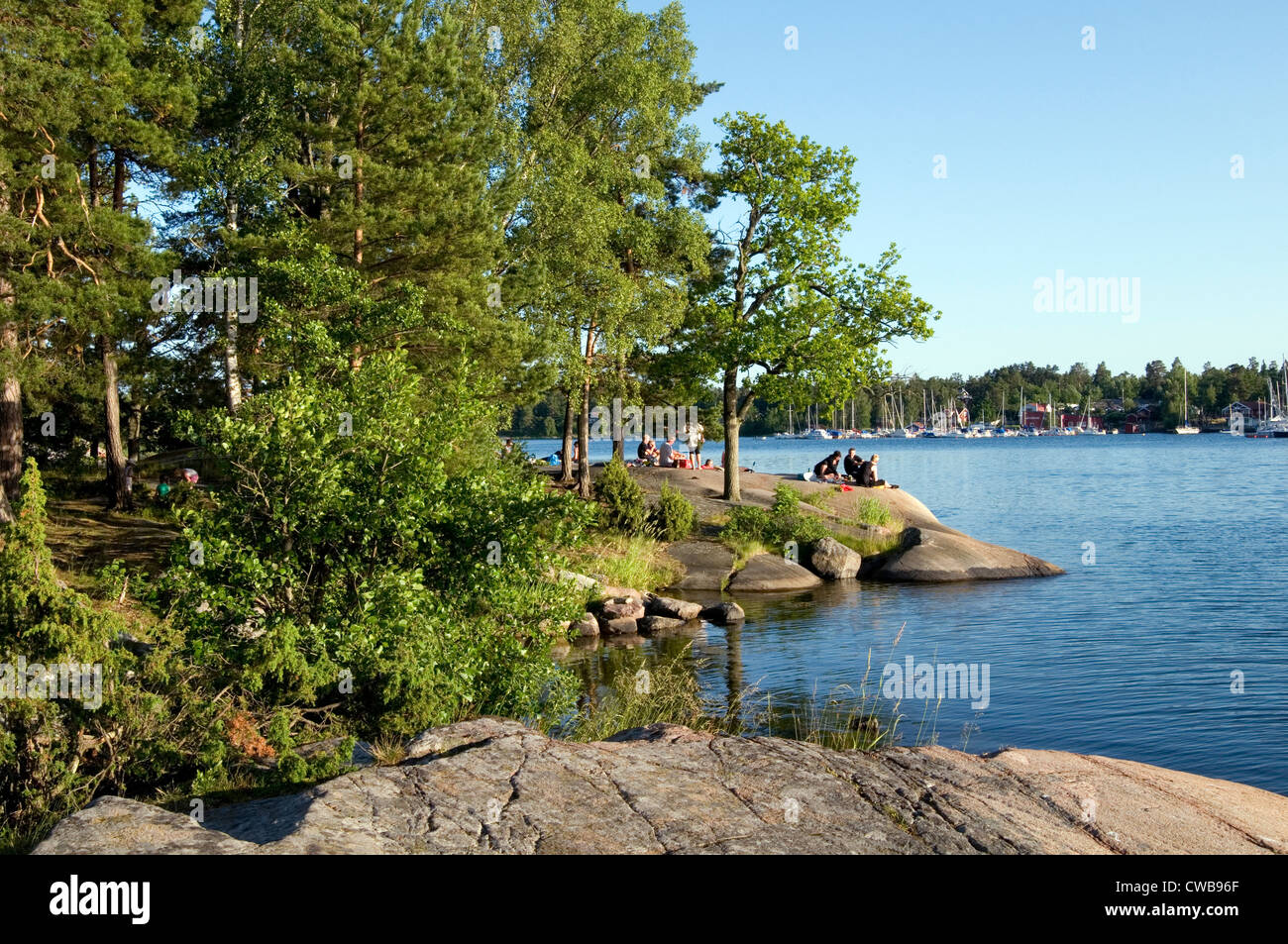glatte Felsen Granitfelsen auf der Ostküste von Schweden Glazial-Eis geglättete Västervik schwedischen Sommer Wald Baum Bäume Holz Ostsee Stockfoto