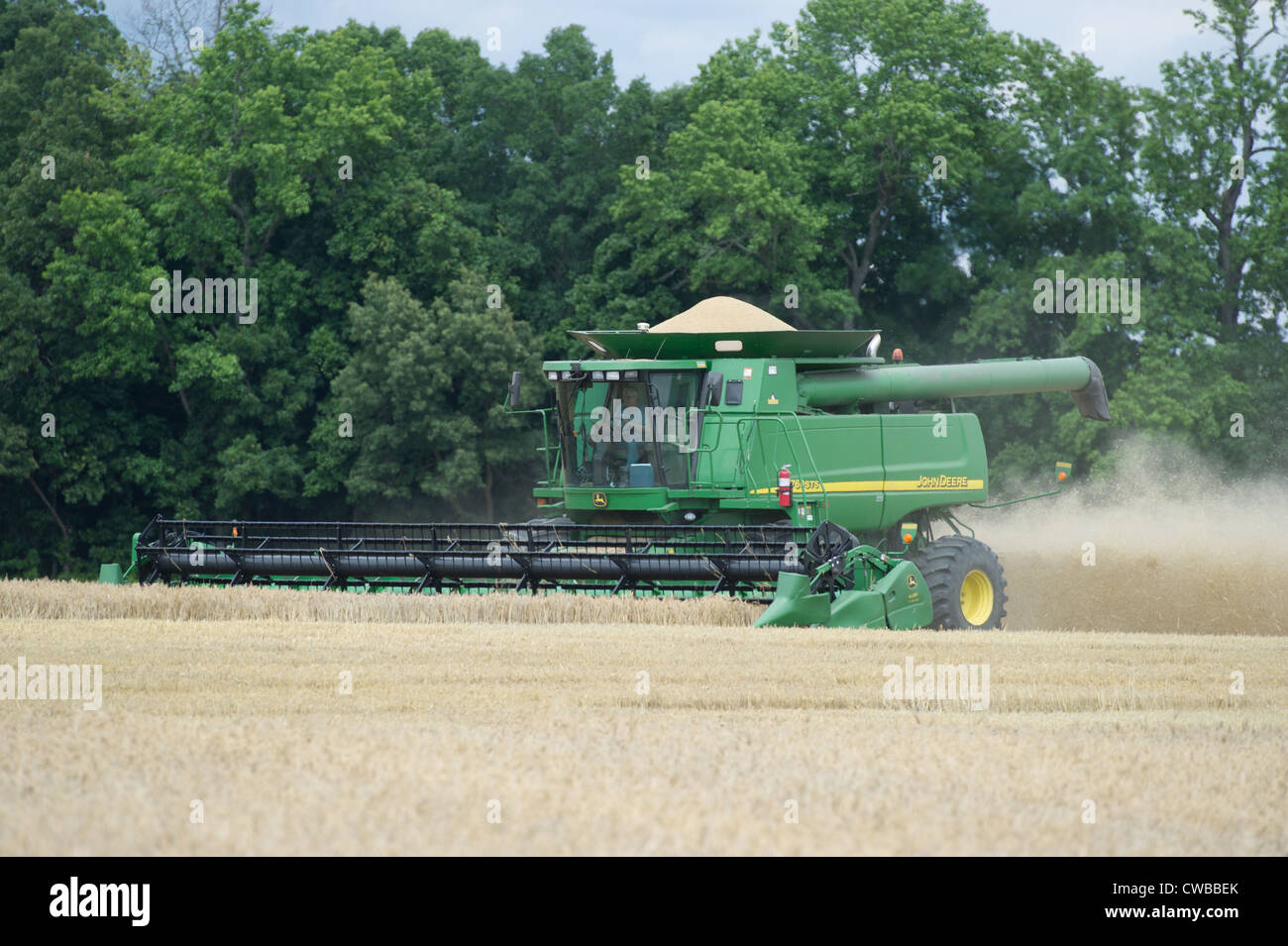 Ernte Getreide Produzent Stockfoto