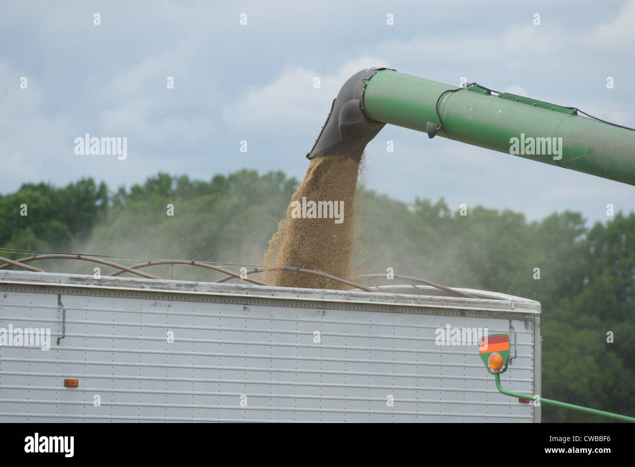 Ernte Getreide Produzent Stockfoto