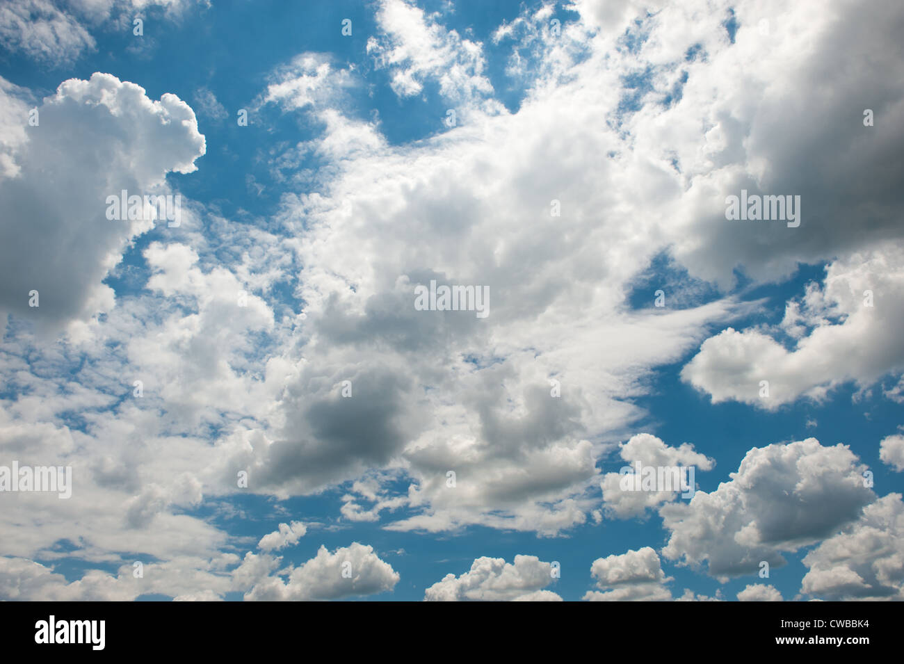 Blauer Himmel mit weißen geschwollenen Wolken Stockfoto