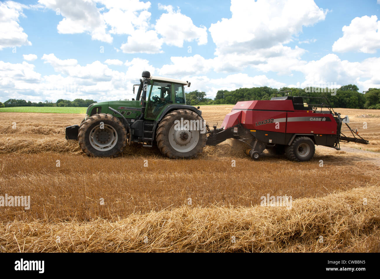 Ernte Getreide Produzent Stockfoto