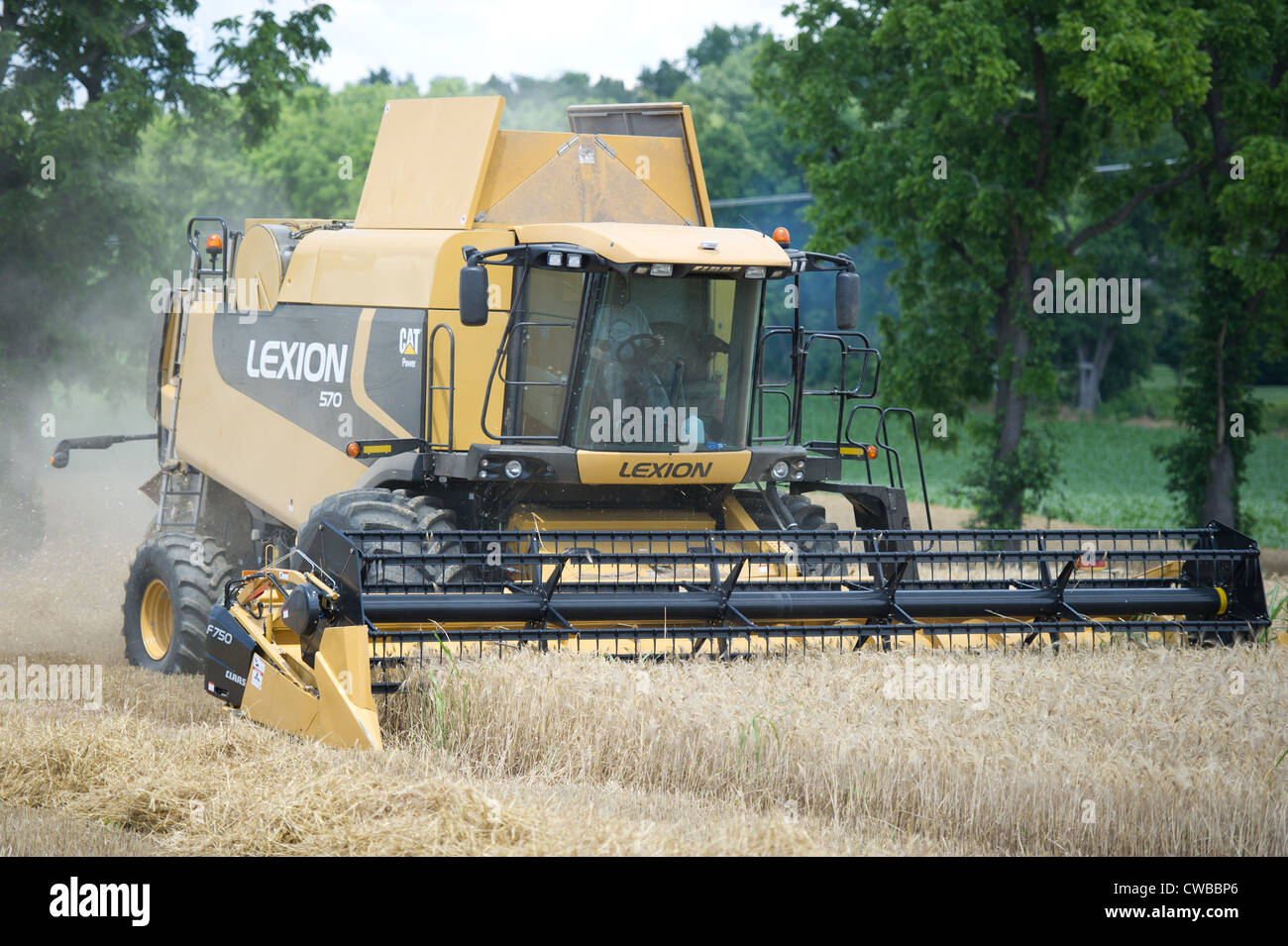 Ernte Getreide Produzent Stockfoto