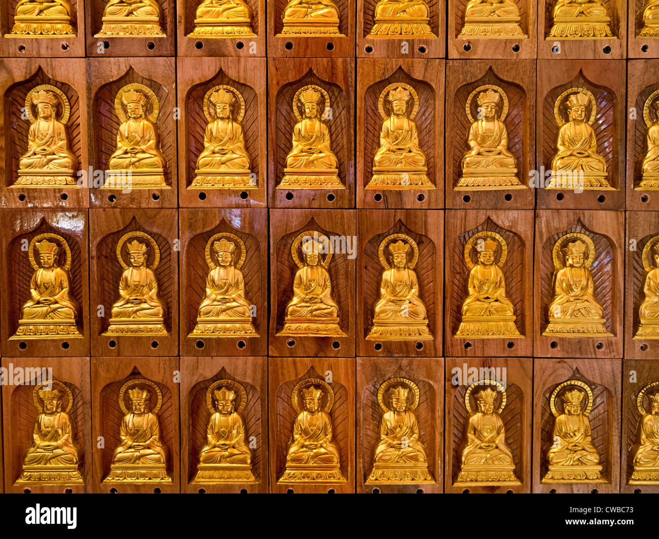Internationale buddhistische Tempel in Richmond, BC, Kanada. Mehrere Buddha-Statuen entlang Wand der Meditationshalle. Stockfoto
