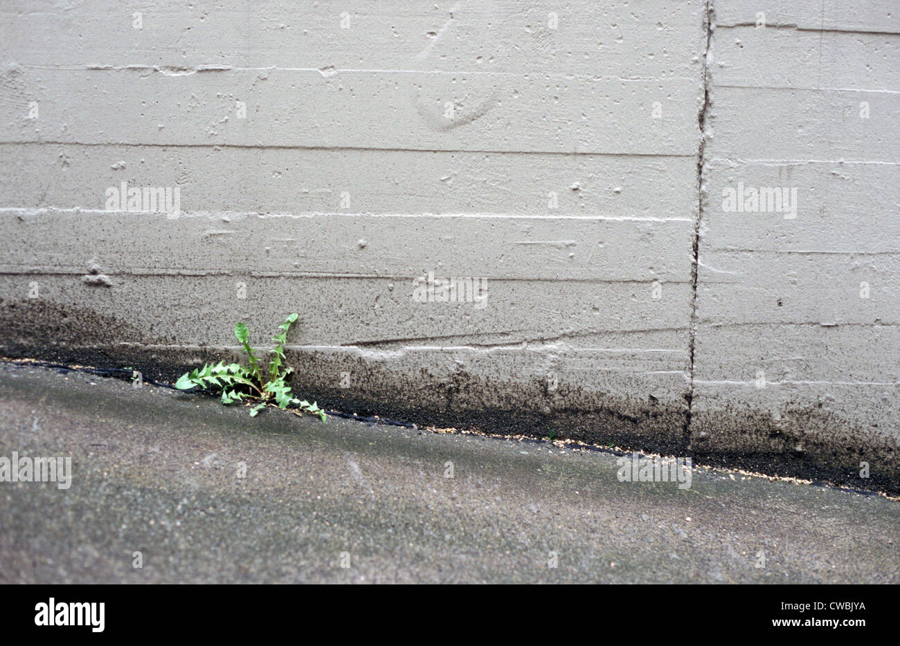 Riss in beton -Fotos und -Bildmaterial in hoher Auflösung – Alamy