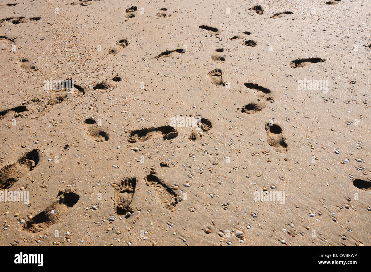 Fußspuren im Sand, am goldenen Sandstrand, starke Schatten, Mittagssonne, Costa De La Luz. Stockfoto