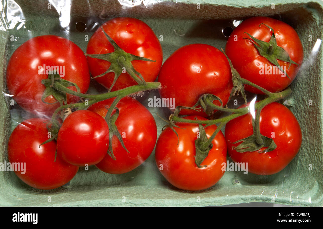 Strauchtomaten, verpackt in einem Karton Teller mit Folie Stockfoto