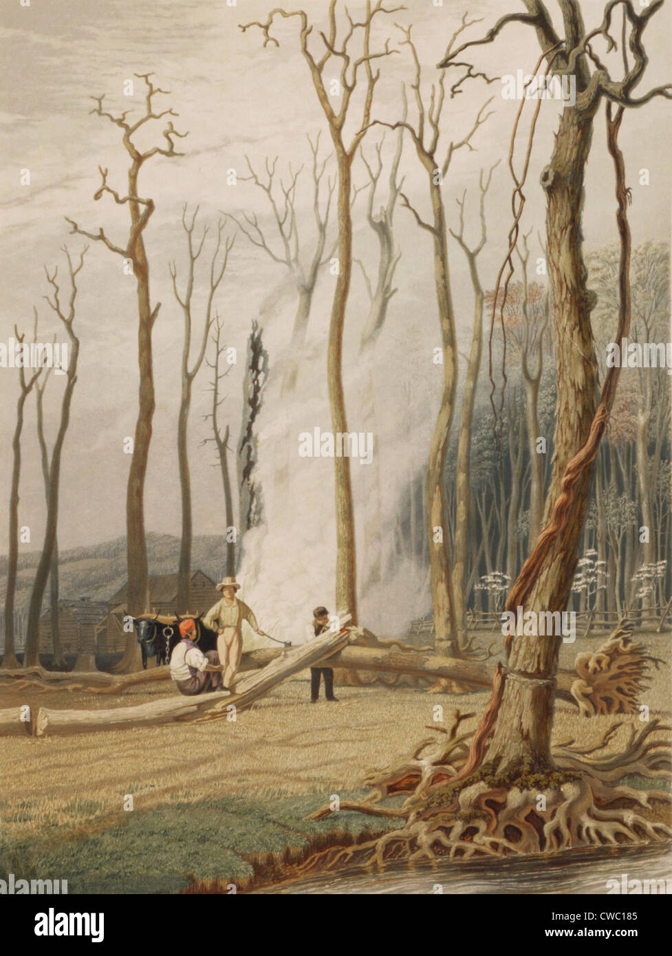 Männer schneiden und brennen "geringelt" Baum, Land an der amerikanischen Grenze im Jahre 1841 zu löschen. Umgeben, durch die Rinde schneiden Stockfoto