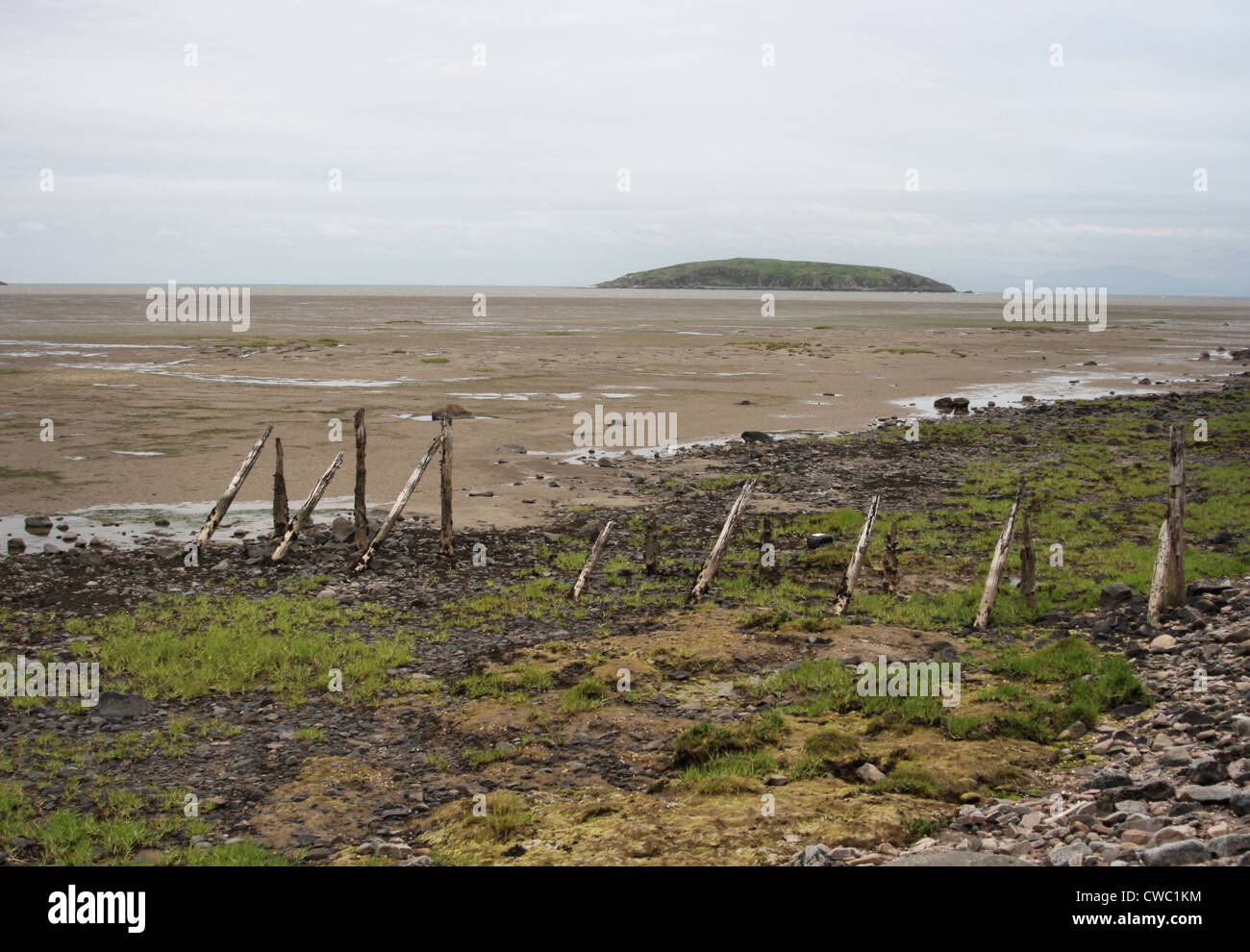 Hestan Insel in der Auchencairn Bucht bei Ebbe Stockfoto