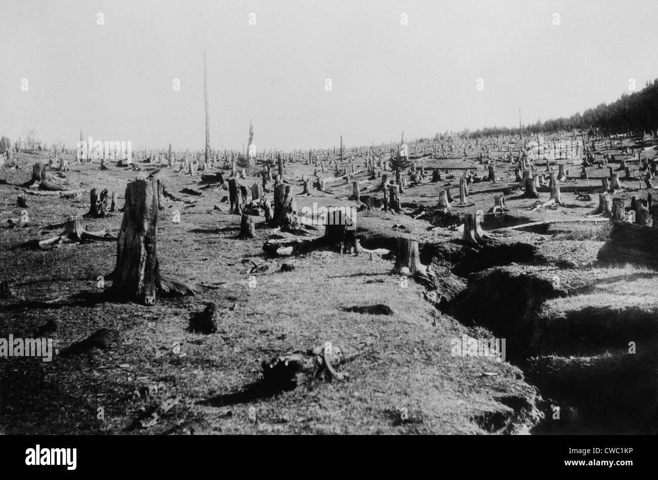 Destruktive Protokollierung gefolgt durch einen Brand völlig zerstört dieser Wald und verursacht Bodenerosion. Ca. 1940. Stockfoto