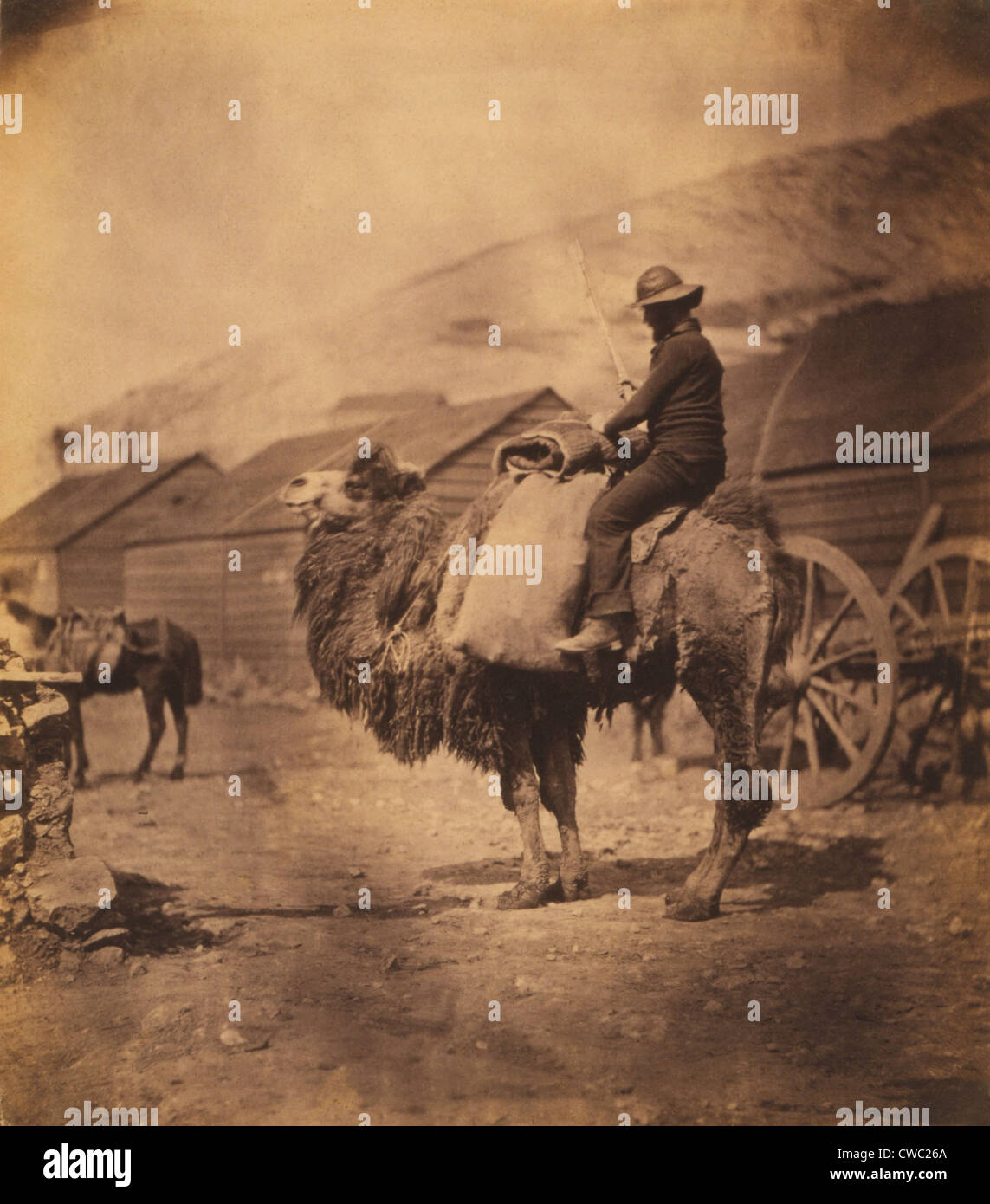 Kaufmann Seemann auf Dromedar Kamel im Jahre 1855. Foto von Roger Fenton während seiner Foto-Dokumentation der britische Krim-Krieg Stockfoto