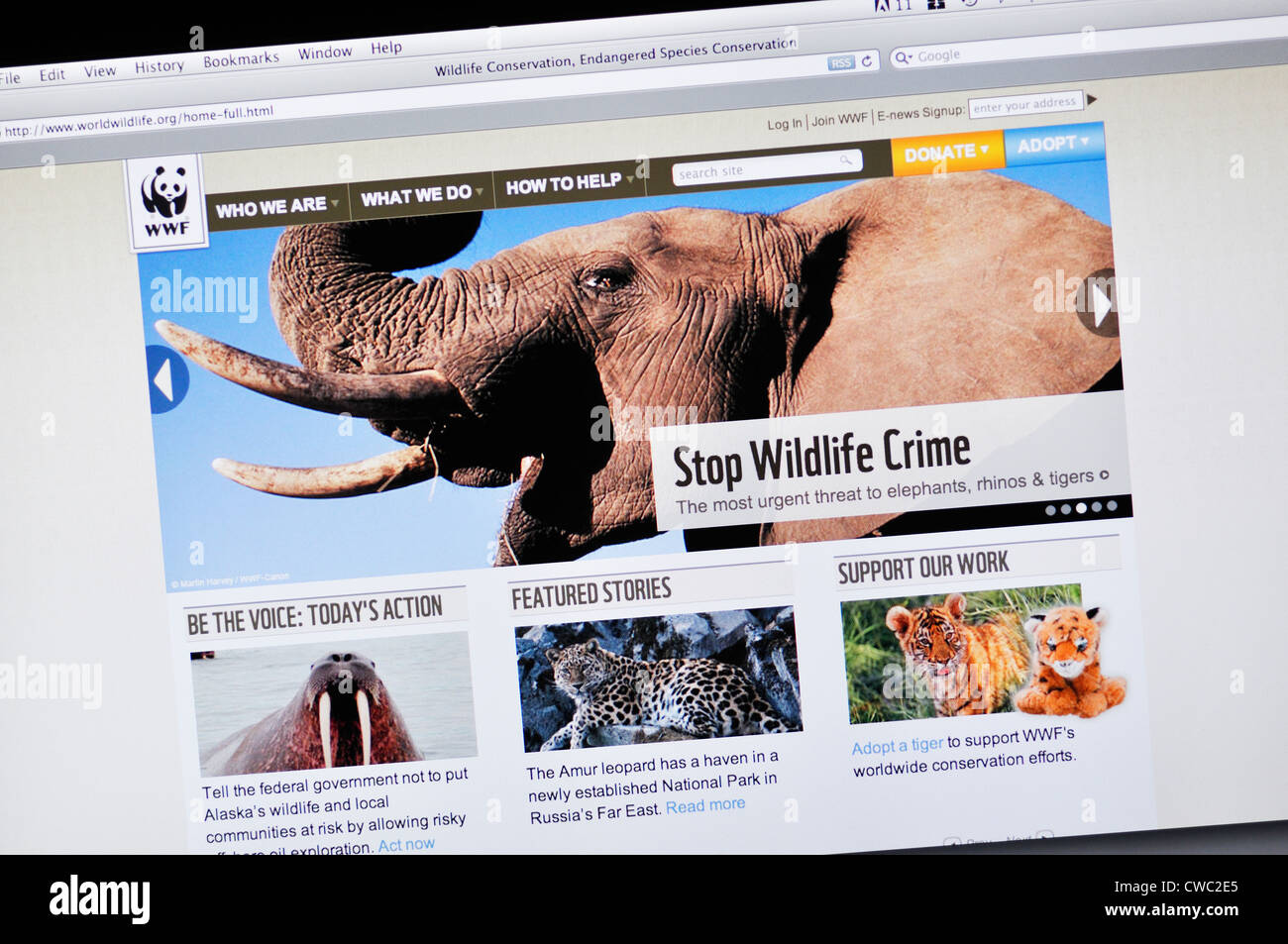 Website für World Wildlife Fund Stockfoto
