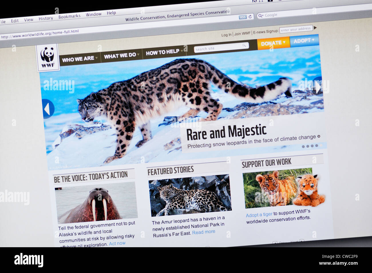 Website für World Wildlife Fund Stockfoto