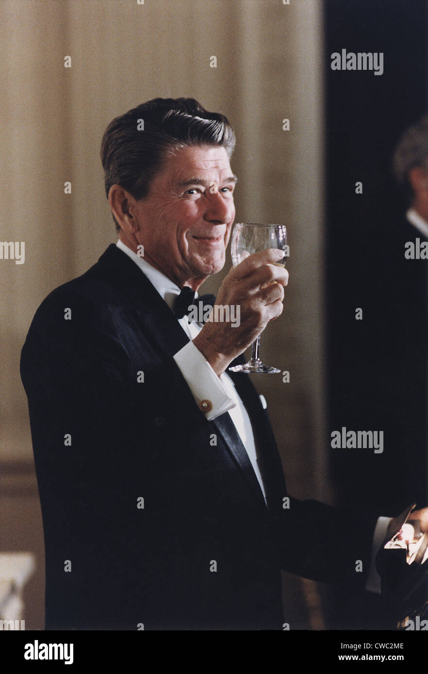 Präsident Reagan an einem Zustand-Abendessen für australische Premierminister Malcolm Fraser toasten. 20. Juni 1981. Stockfoto
