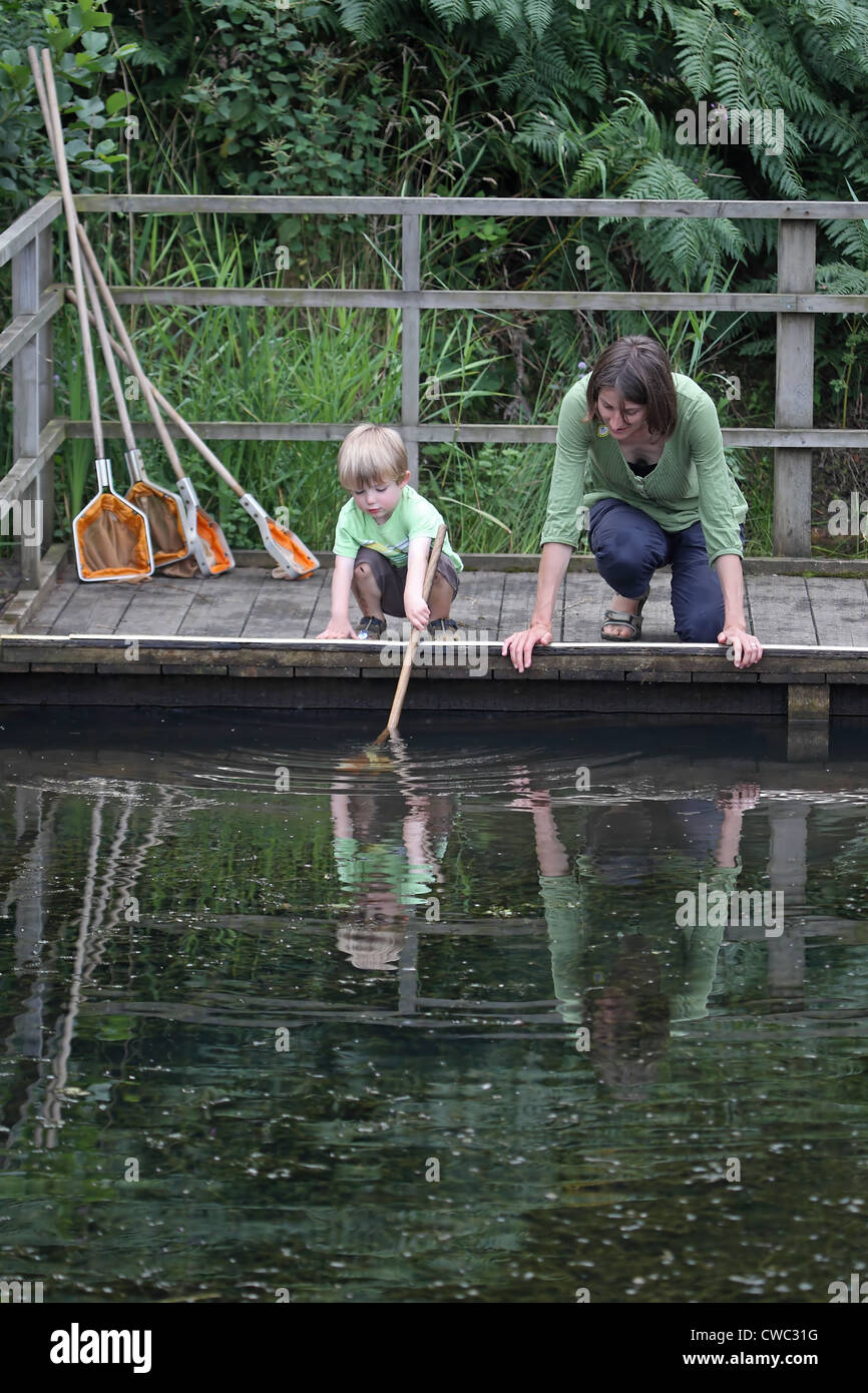 Teich eintauchen Stockfoto