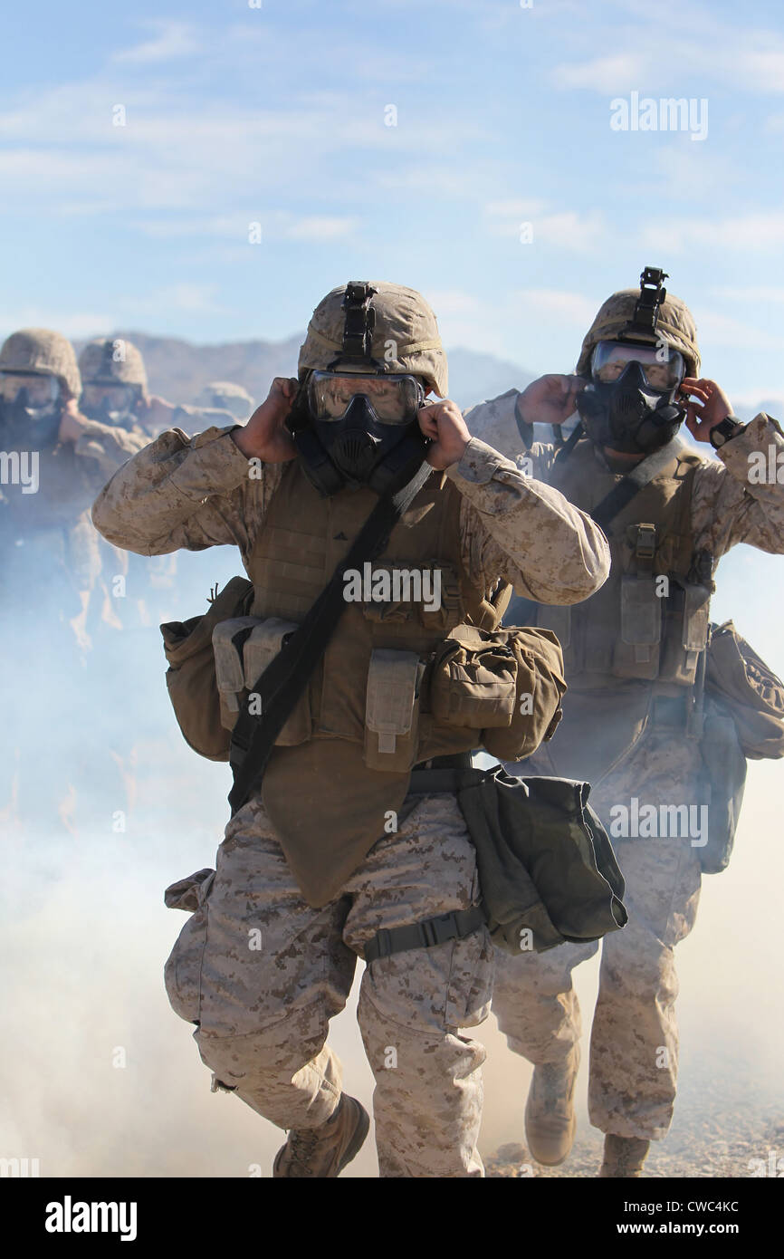 US Marines und Matrosen in voller schützende Zahnrad marschieren durch die Gaswolke mit ihre neue Ausrüstung testen. 26. Januar 2011. Stockfoto
