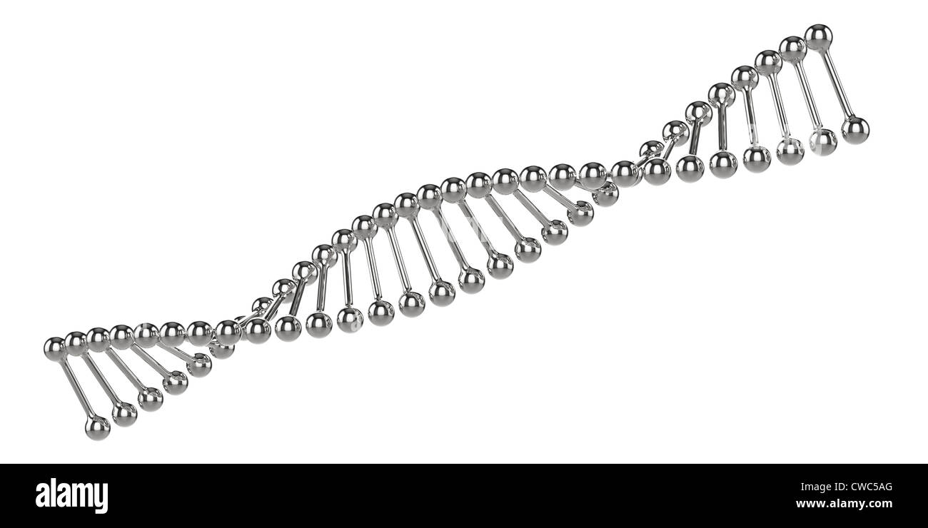 Illustration des Chrom-Modell der Dna isoliert auf weißem Hintergrund Stockfoto