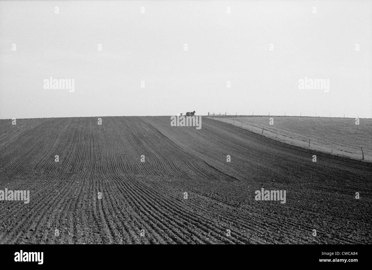 Frühling Getreide anpflanzen im Jasper County, Iowa. Die Pferdekutsche Drillmaschine ist sichtbar am Horizont. Stockfoto