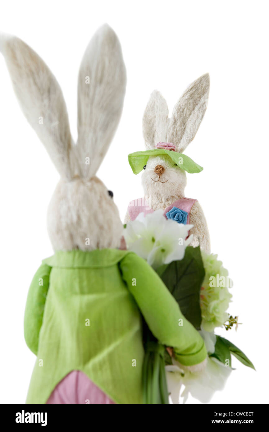 Rückansicht der Hase mit blumeblumenstrauß nähert sich weibliche Kaninchen auf weißem Hintergrund Stockfoto