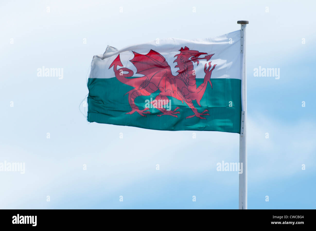Walisische Nationalflagge Stockfoto