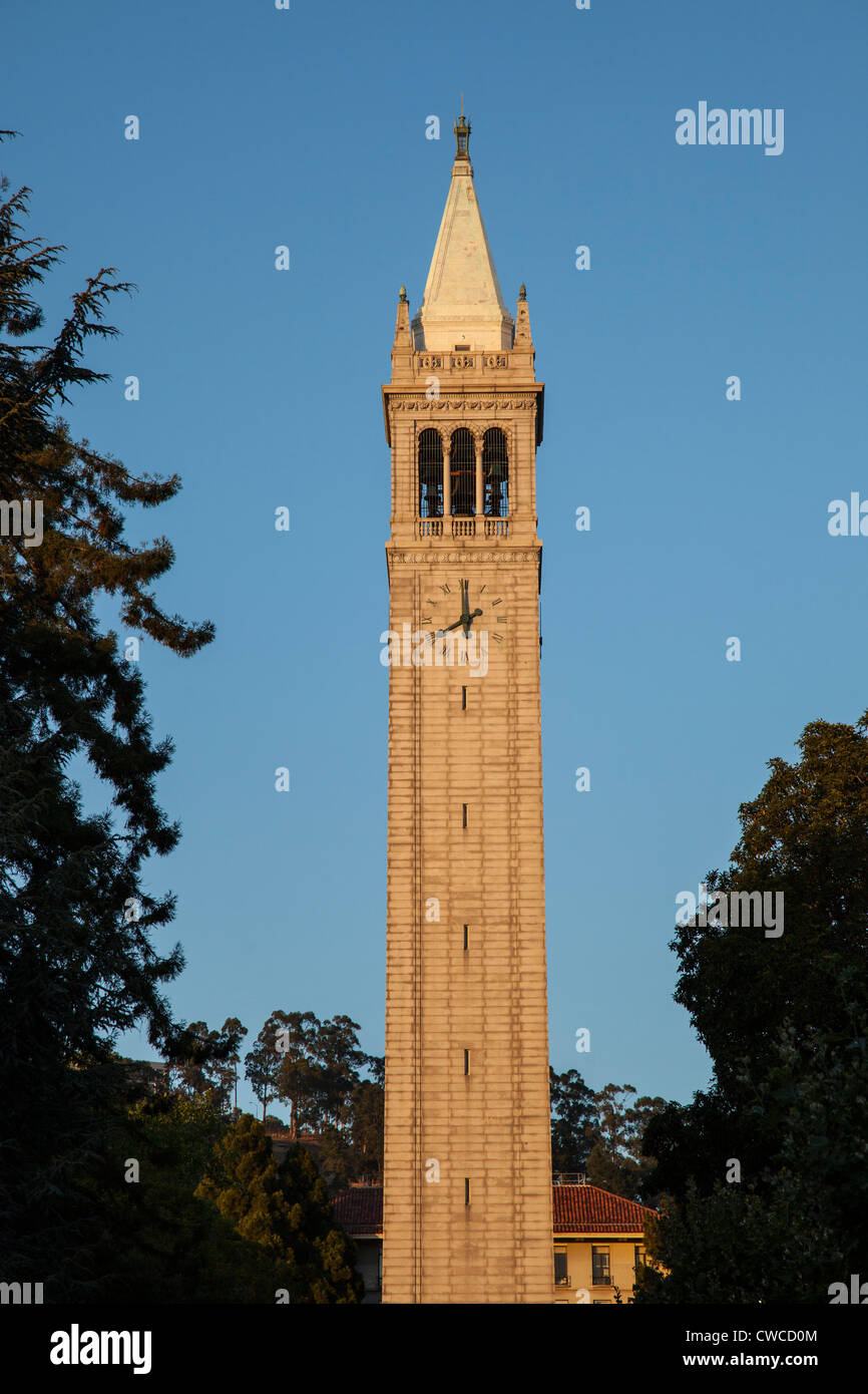 Der Campanile (Sather Tower) UC Berkeley University Campus, CA Stockfoto