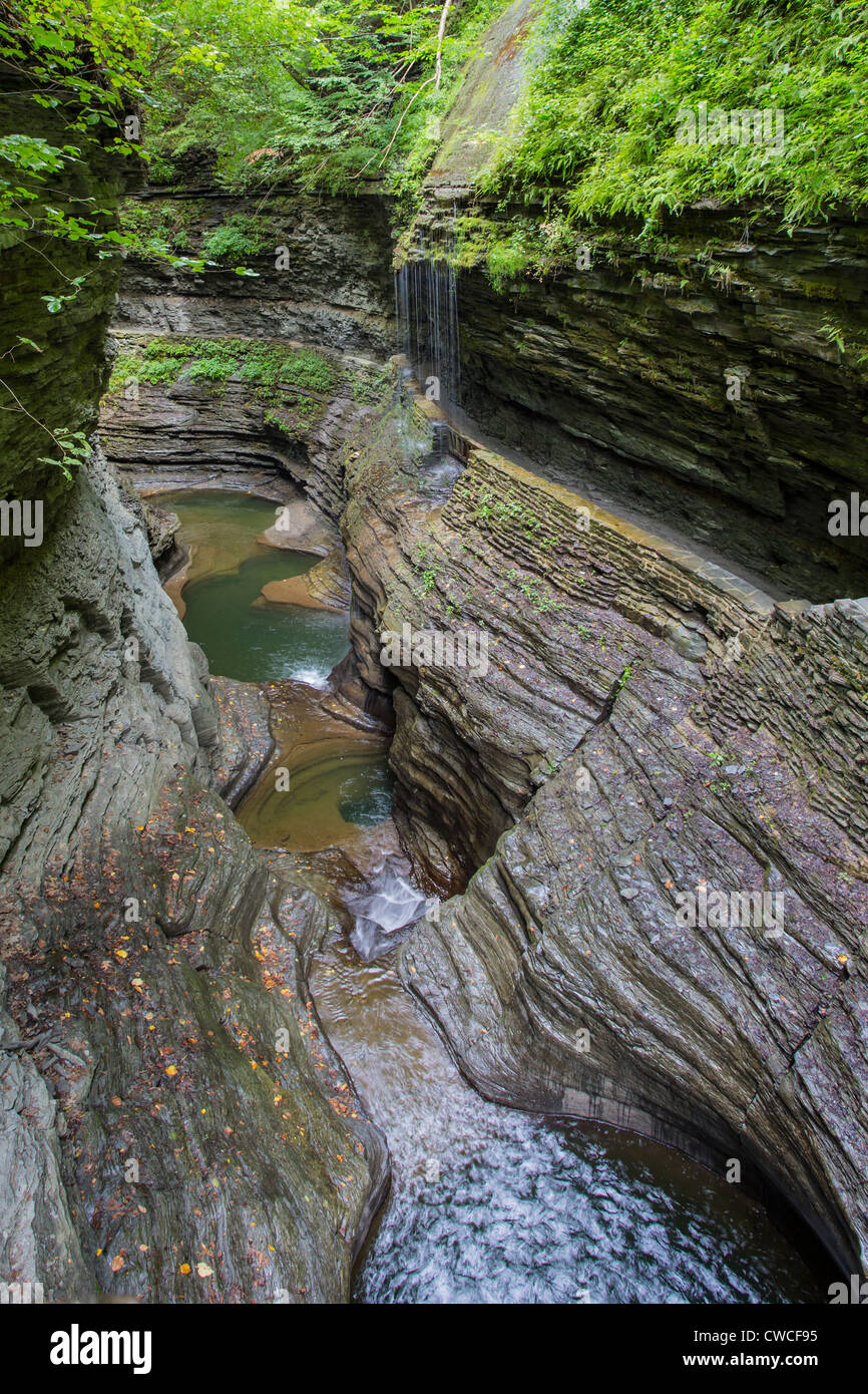 Steilen felsigen Schlucht und Wasserfälle in Watkins Glen State Park in der Finger Lakes Region des Staates New York Stockfoto