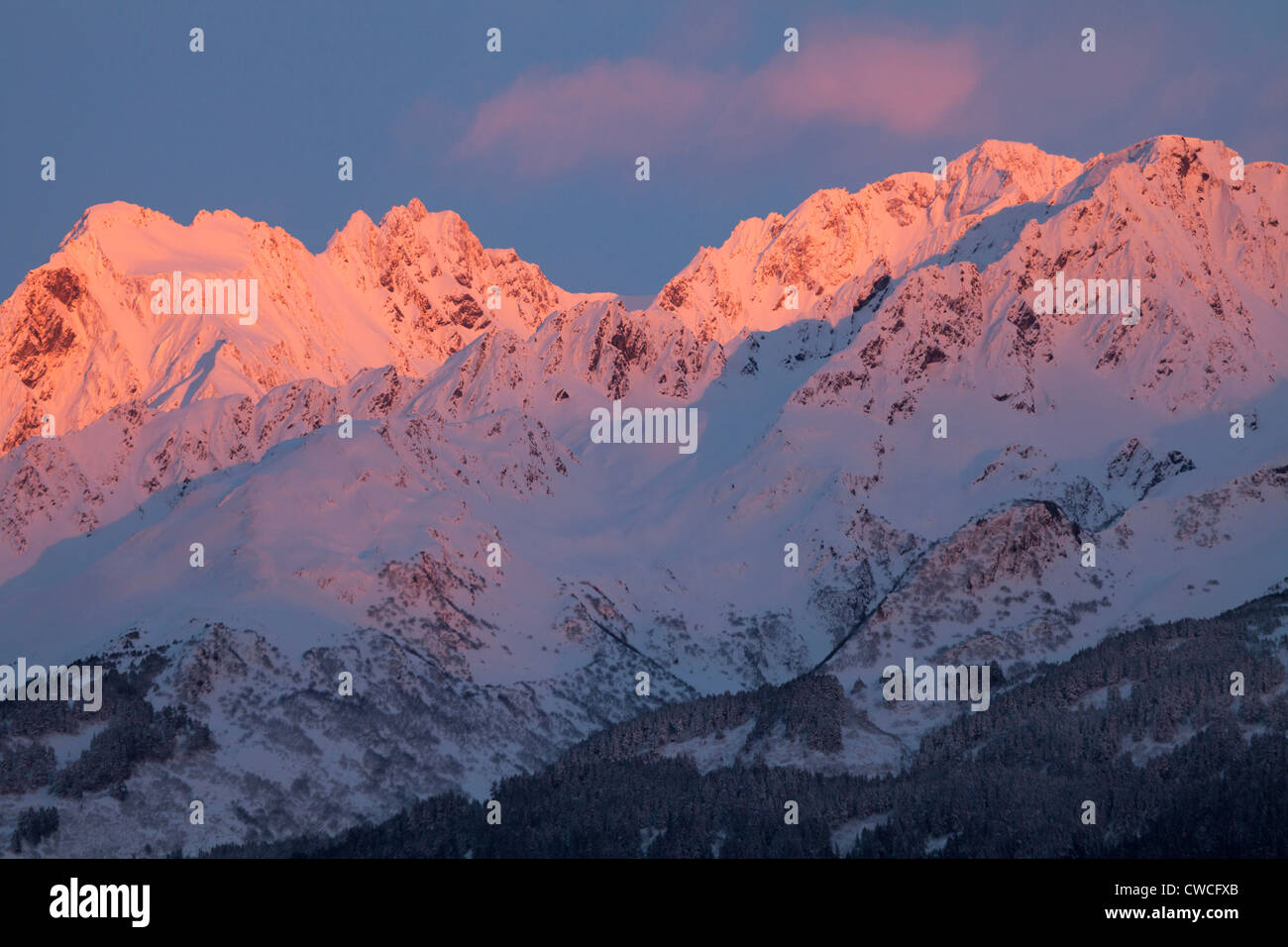 Alpenglühen am Mt. Alice, Chugach National Forest, Seward, Alaska. Stockfoto