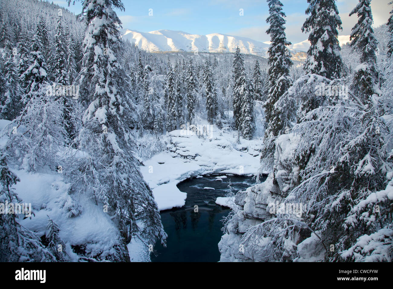 Six Mile Creek, Chugach National Forest, Alaska. Stockfoto