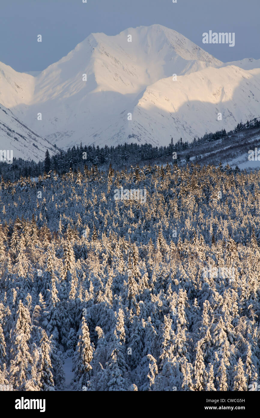 Winter-Landschaft, Chugach National Forest, Alaska. Stockfoto