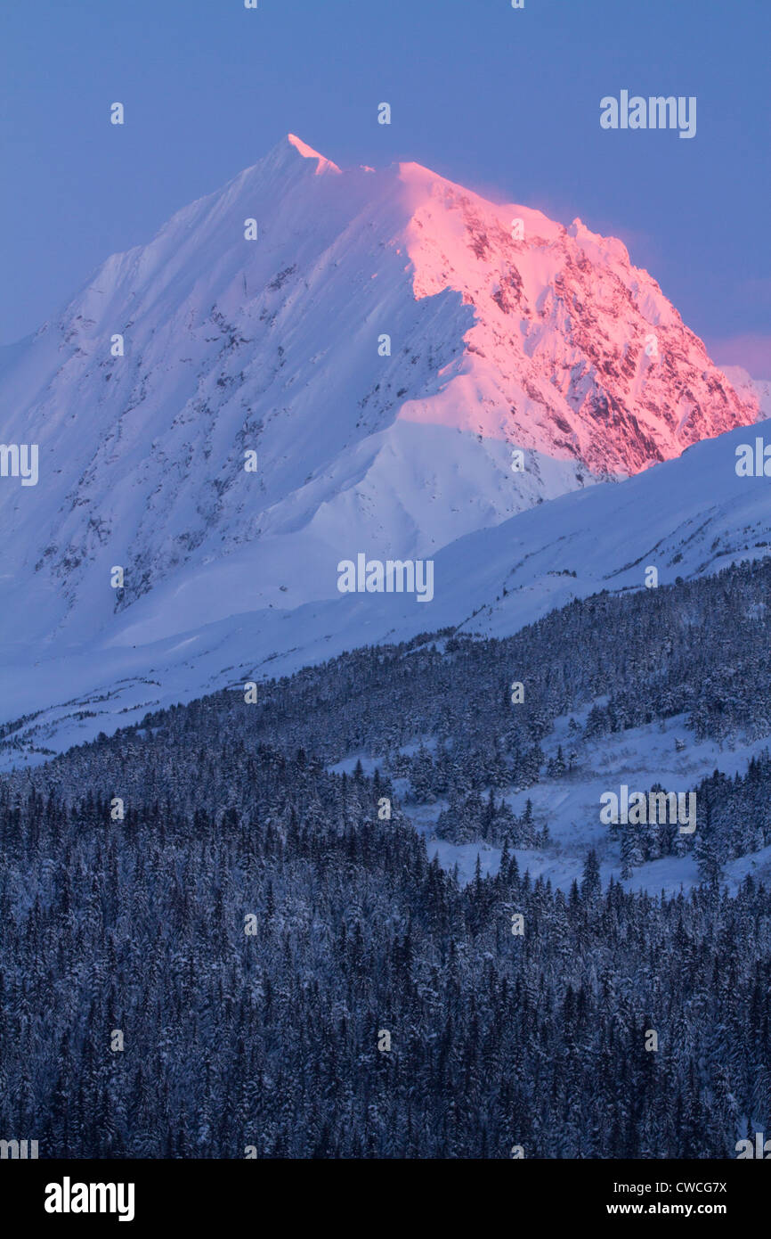 Chugach National Forest, Alaska. Stockfoto