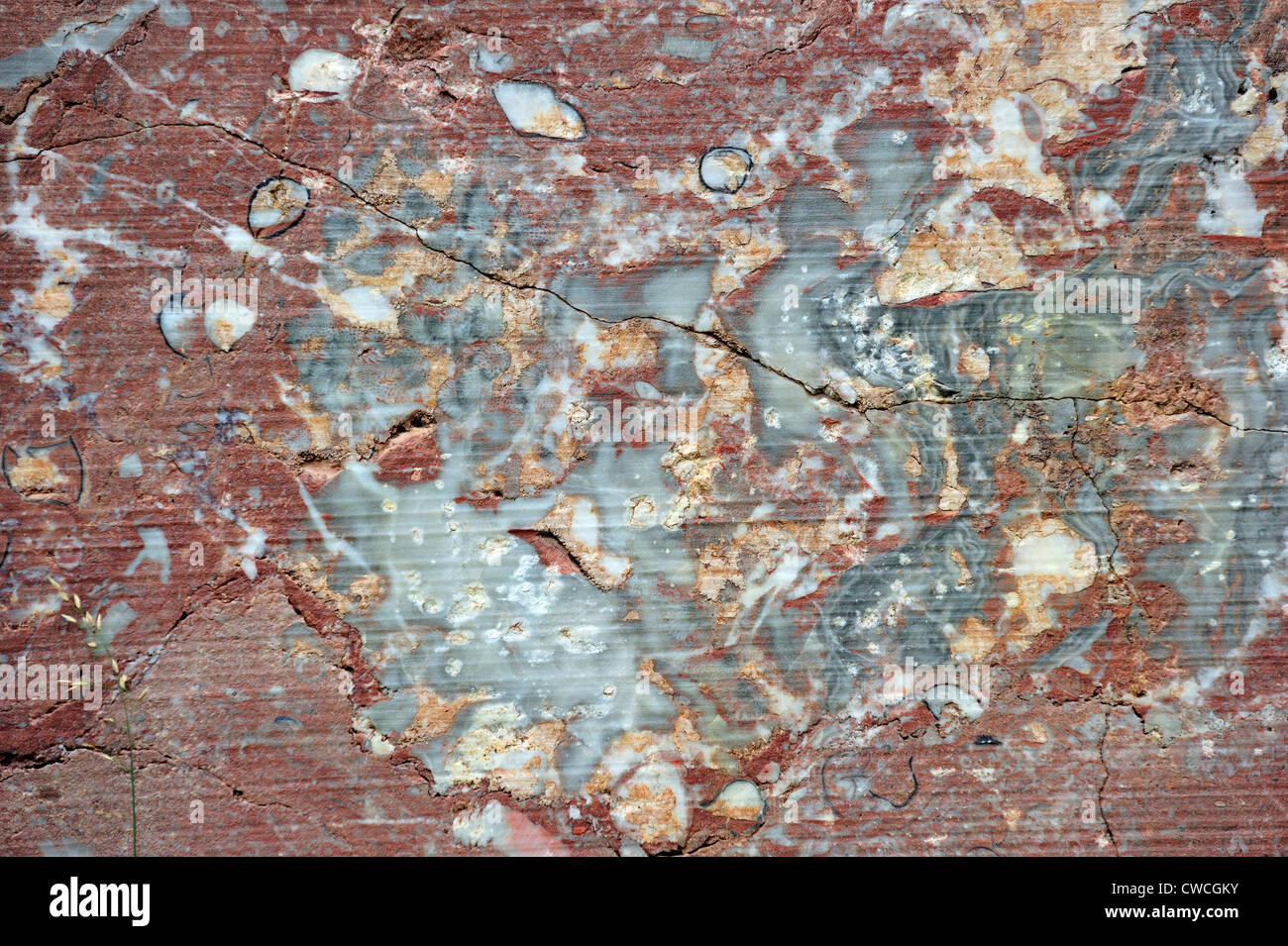 Nahaufnahme von rotem Marmor im Steinbruch Carrière de Beauchâteau in Senzeille in den belgischen Ardennen, Belgien Stockfoto