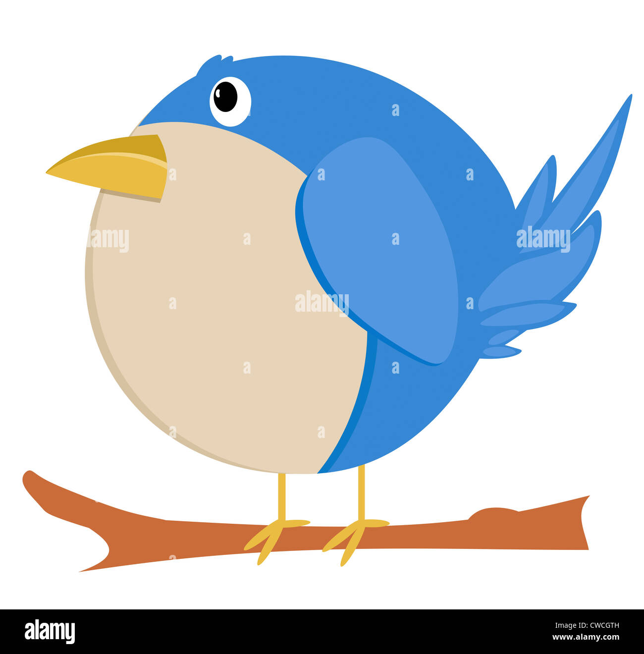 Bobby der Vogel Stockfoto