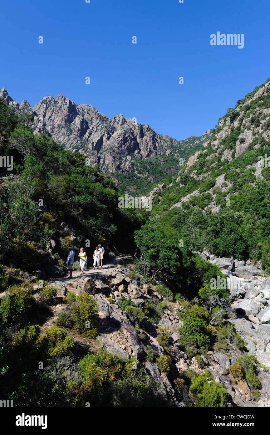 Spelunca-Schlucht des Flusses Porto, Korsika, Frankreich Stockfoto