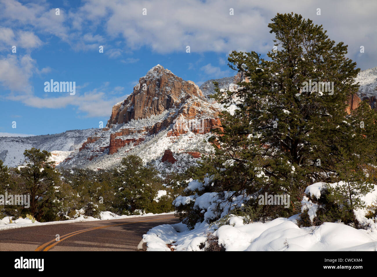 Winter Schnee auf Schnebly Hill Road, Coconino National Forest, Sedona, Arizona. Stockfoto