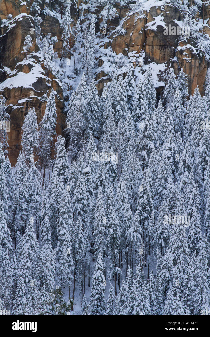 Winter Schnee entlang Oak Creek Canyon, Sedona, Arizona. Stockfoto